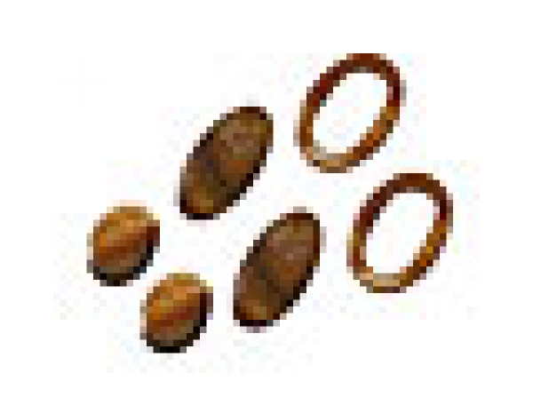 Muschelteile-Mix Oval, braun